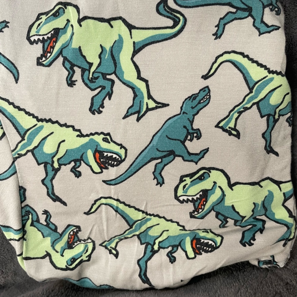 MeUndies Dinosaur Onesie Pajamas